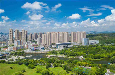广州早茶好去处广广州本地宝