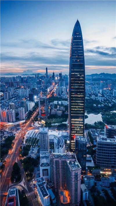 探寻蜜蜂在百花丛中的奇妙之旅